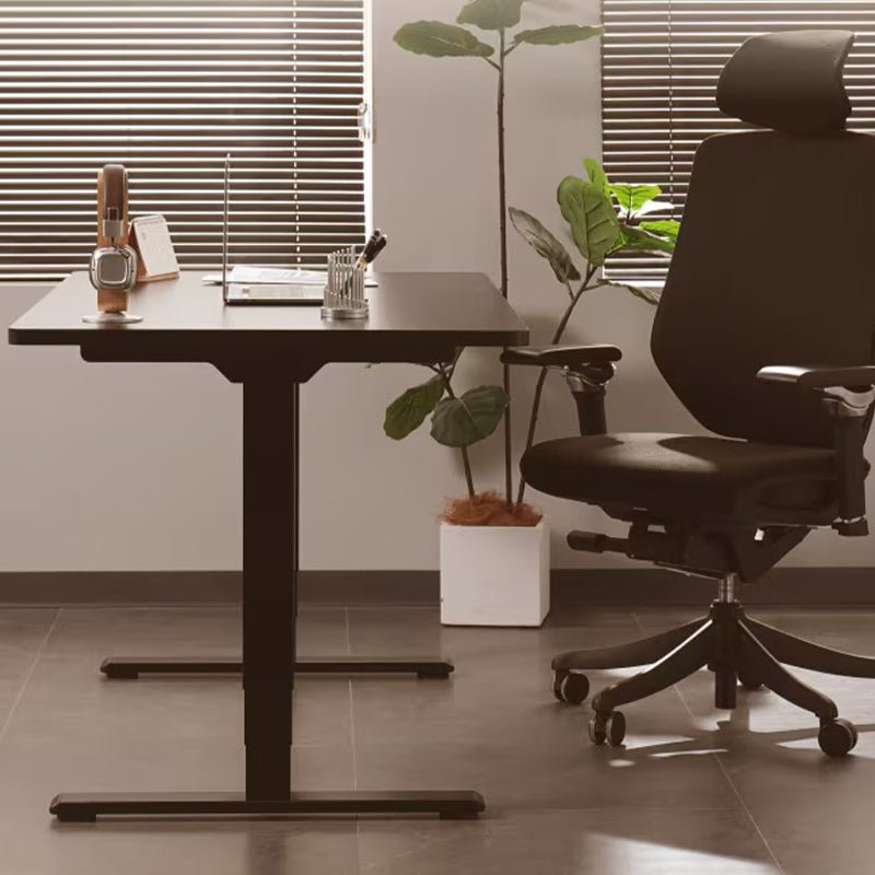 Bàn nâng hạ thông minh Ergonomic ED225E