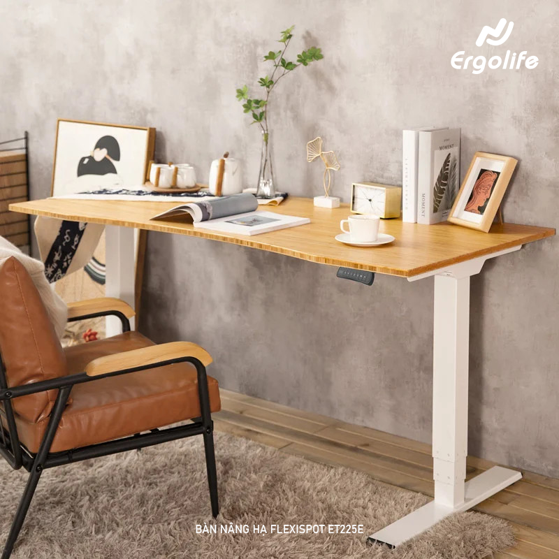 Bàn nâng hạ thông minh Ergonomic ED225E